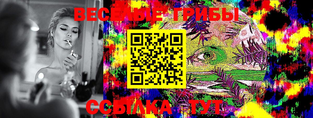 Псилоцибиновые грибы Psilocybine cubensis Саранск